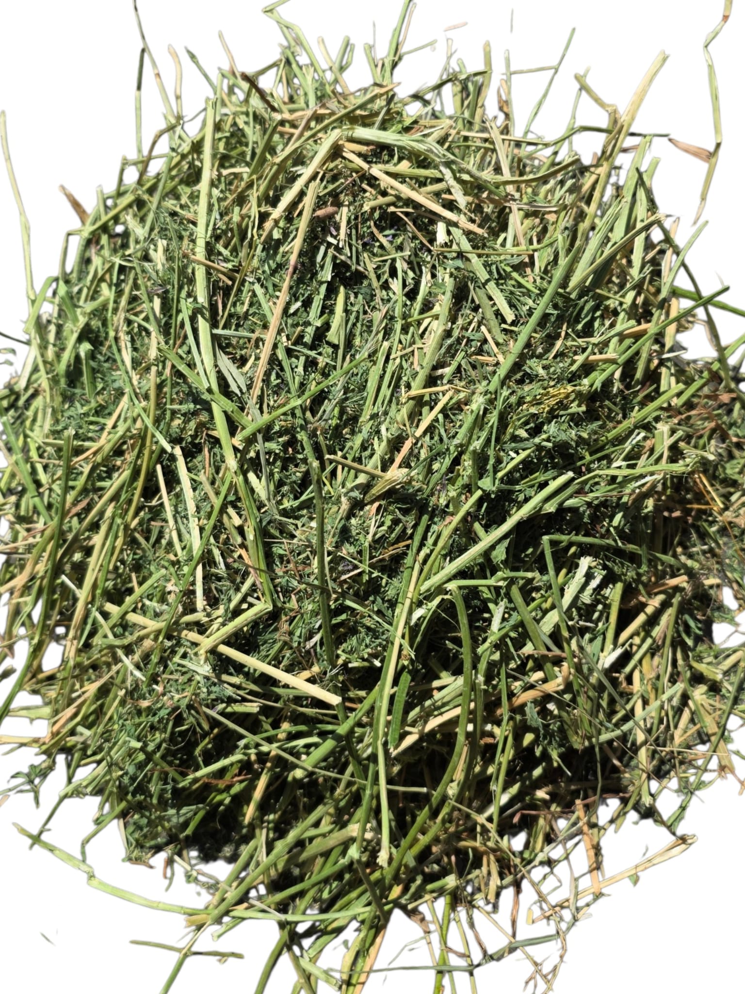 hl_192