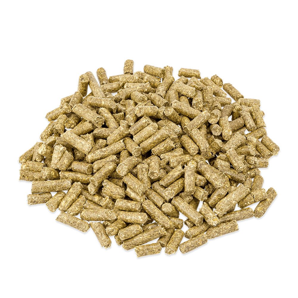 Metazoa DigestFit esparcette 15 kg | Winkel | Hay to You
