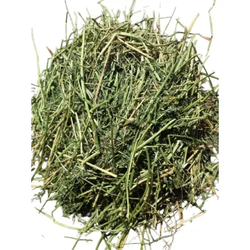 Franse luzerne – 1e snede 2026 | Baal ca. 33 kg