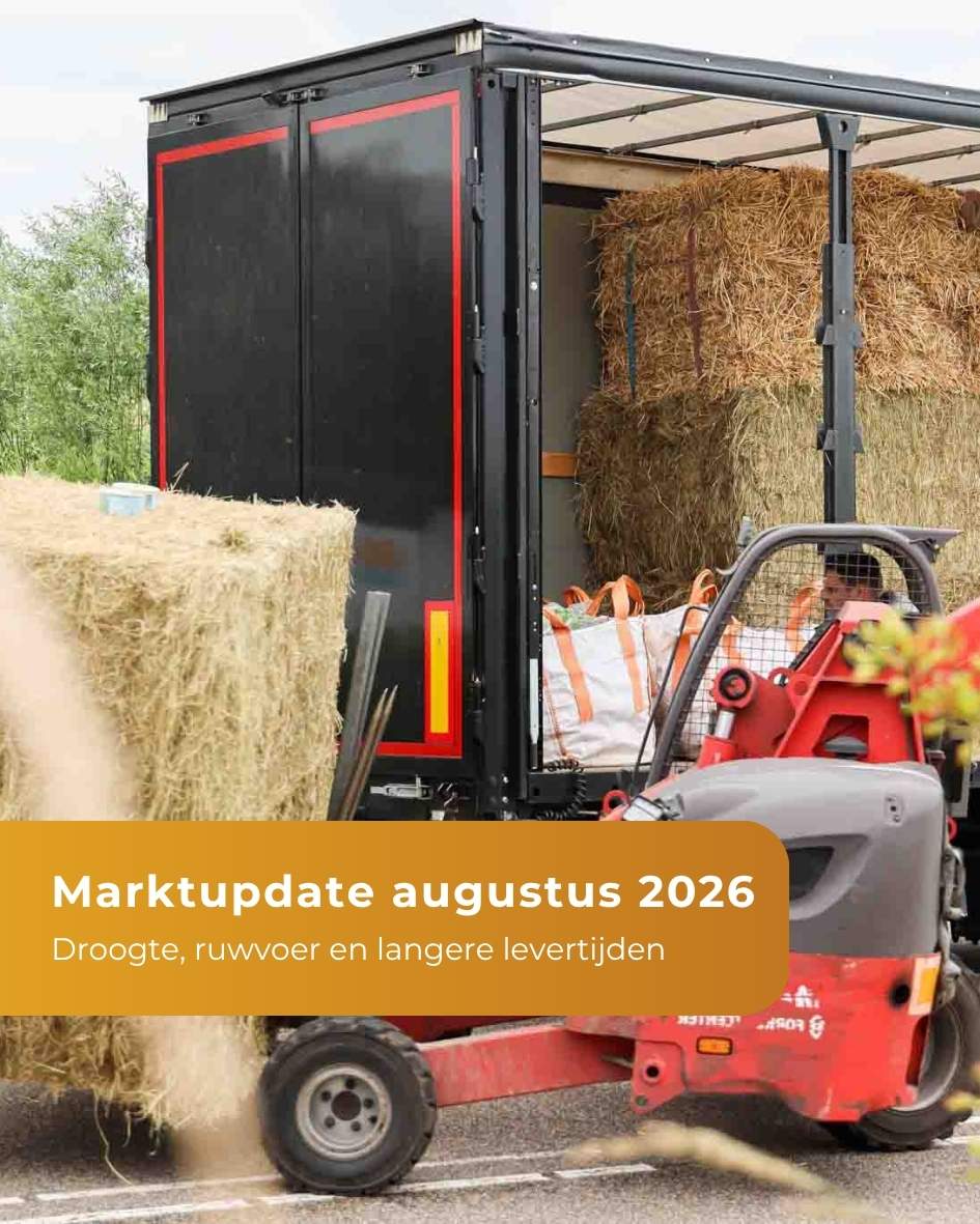 Marktupdate - Augustus 2026